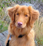 Knut 1 year